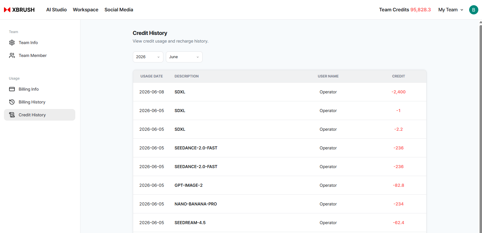 Credit usage history log showing per-transaction consumption