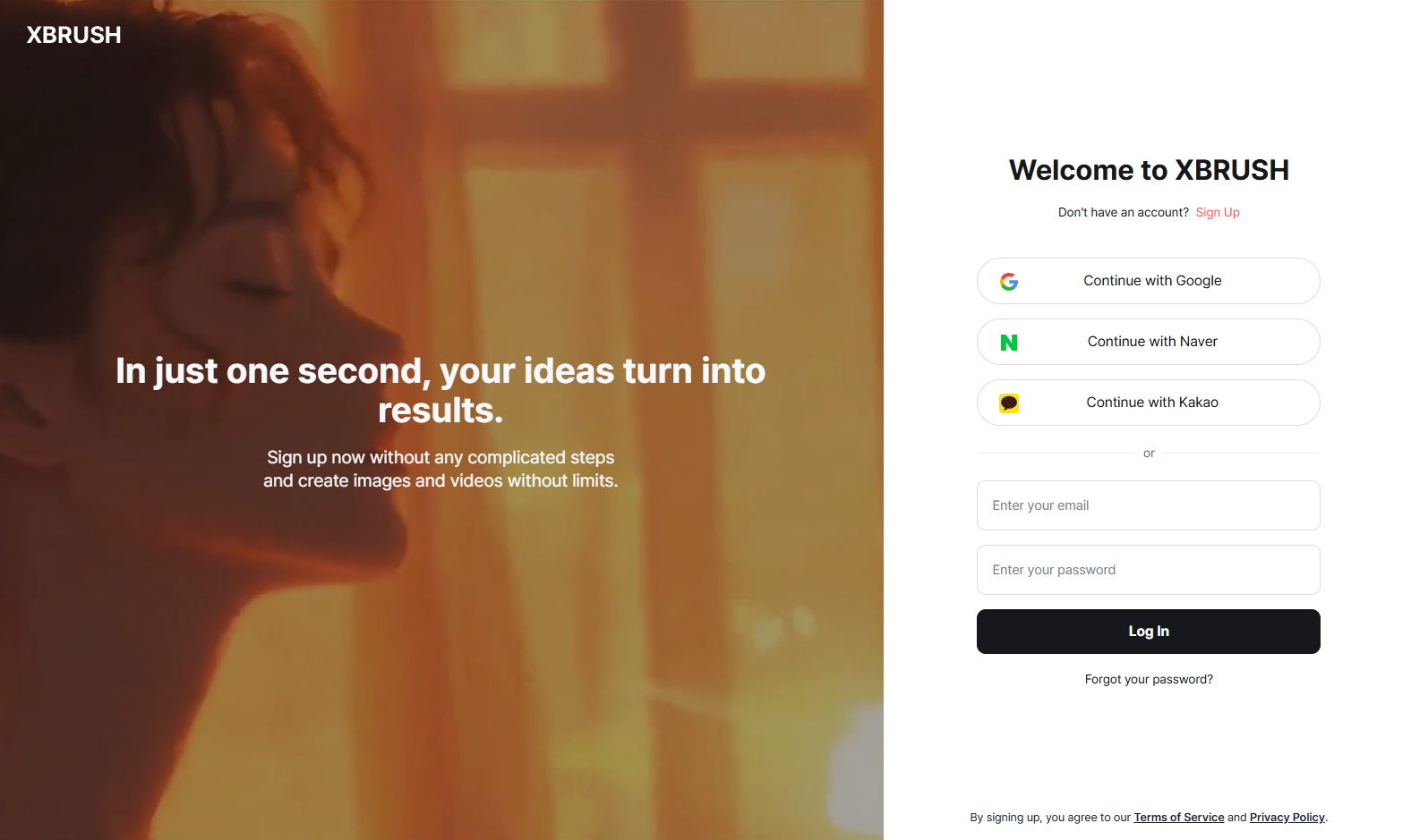 Login or Sign Up page