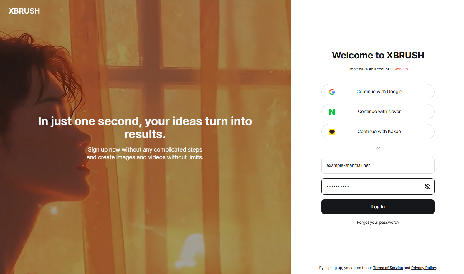 Login or Sign Up page